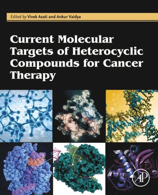 Ankur Vaidya, Vivek Asati - Current Molecular Targets of Heterocyclic Compounds for Cancer Therapy, E-bok