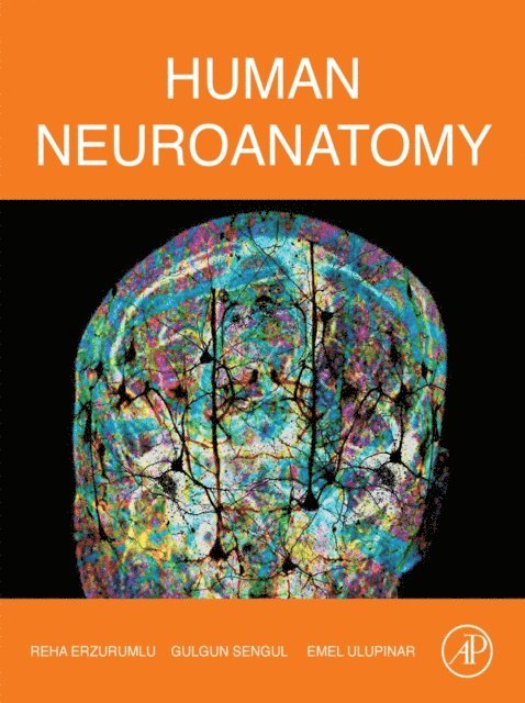 Emel Ulupinar, Gulgun Sengul, Reha Erzurumlu - Human Neuroanatomy, E-bok