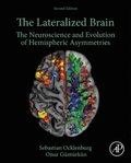 The Lateralized Brain