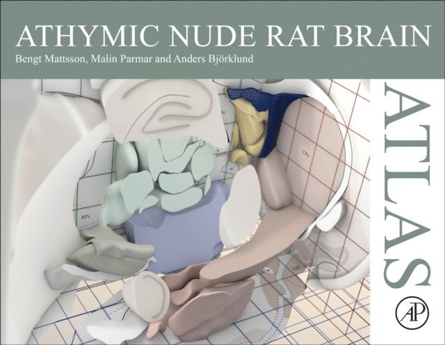 Anders Bjorklund, Malin Parmar, Bengt Mattsson - Athymic Nude Rat Brain Atlas, E-bok