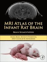 Dusica Bajic, Devon Evanovich, Chandler Mongerson - MRI Atlas of the Infant Rat Brain, Inbunden