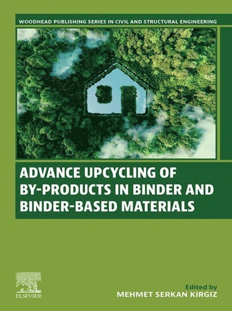 Mehmet Serkan Kirgiz - Advance Upcycling of By-products in Binder and Binder-Based Materials, E-bok