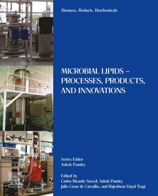 R.D. Tyagi, Julio C. de Carvalho, Ashok Pandey, Carlos Ricardo Soccol - Biomass, Biofuels, Biochemicals, E-bok