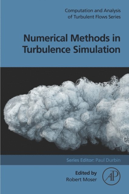 Robert Moser - Numerical Methods in Turbulence Simulation, E-bok