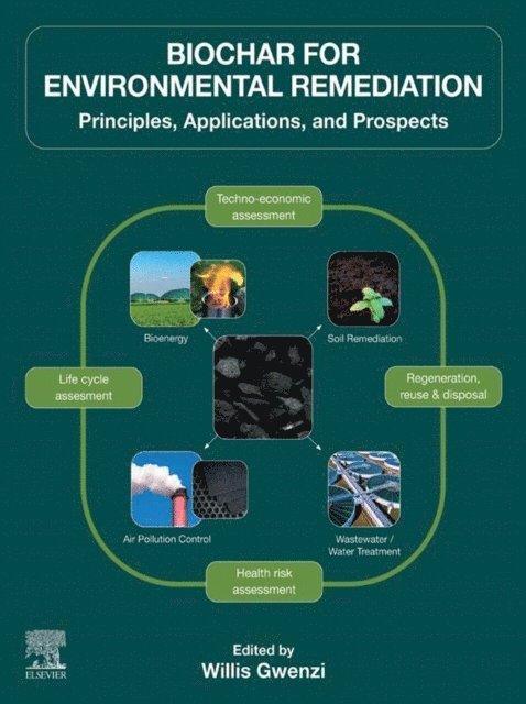 Willis Gwenzi - Biochar for Environmental Remediation, E-bok
