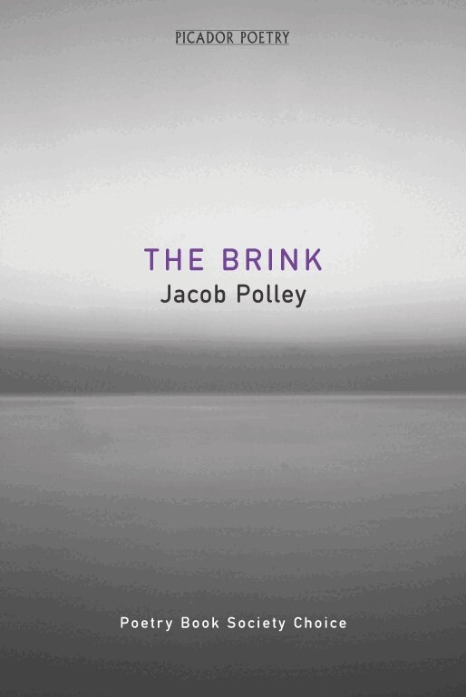 Jacob Polley - Brink, Häftad