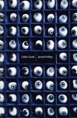 Jacob Polley - Little Gods, Häftad