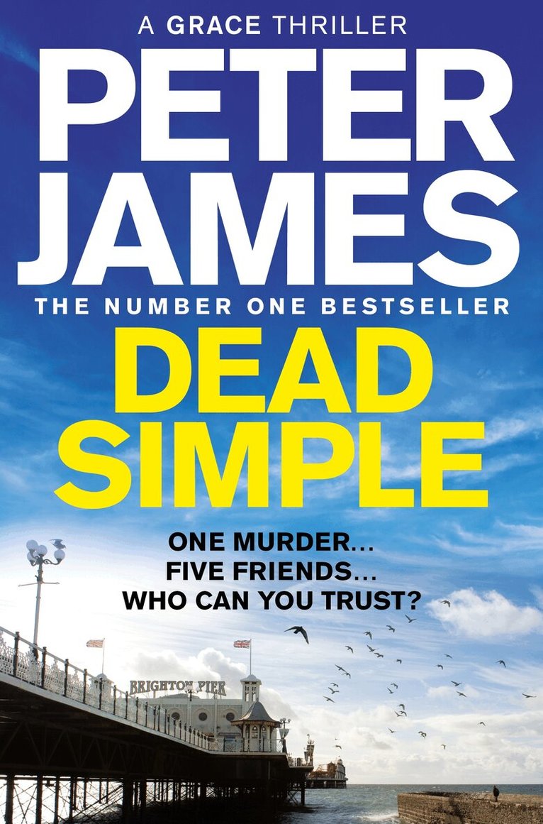 Peter James - Dead Simple, E-bok