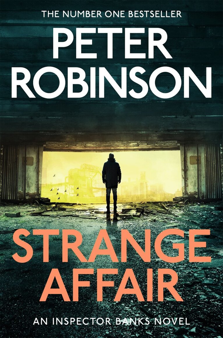 Peter Robinson - Strange Affair, E-bok