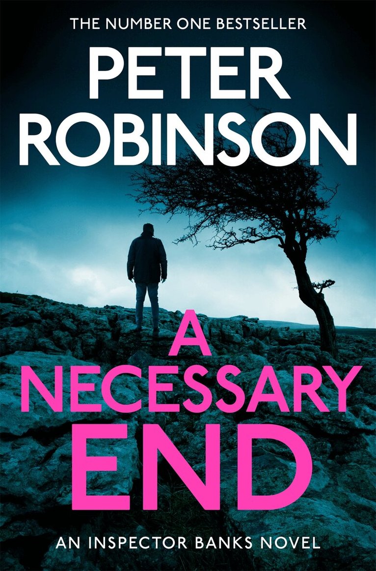 Peter Robinson - Necessary End, E-bok