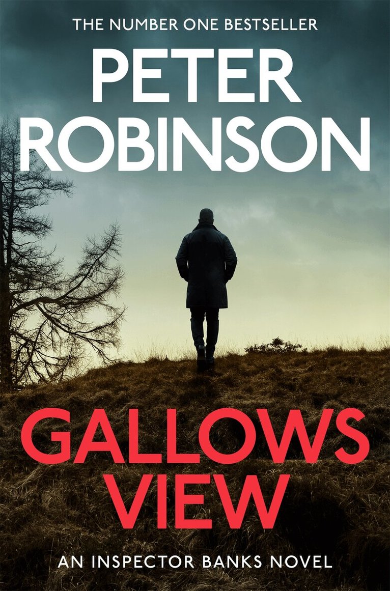 Peter Robinson - Gallows View, E-bok