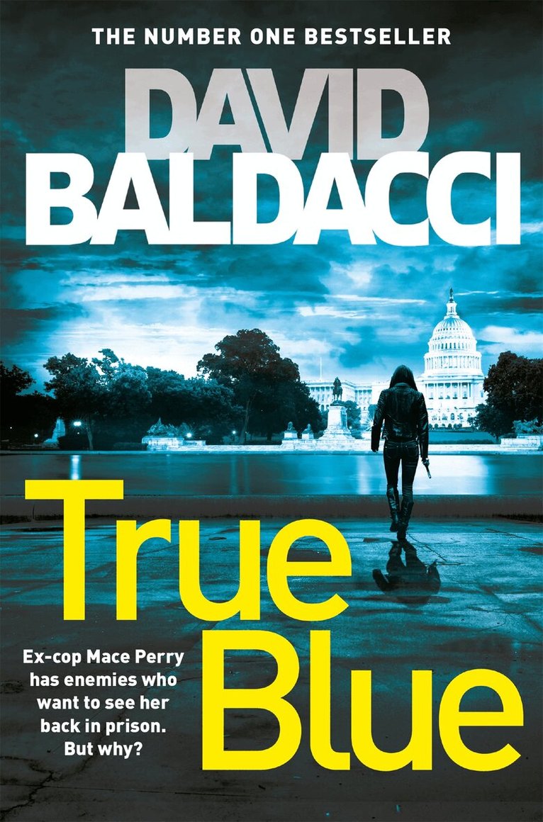 David Baldacci - True Blue, E-bok