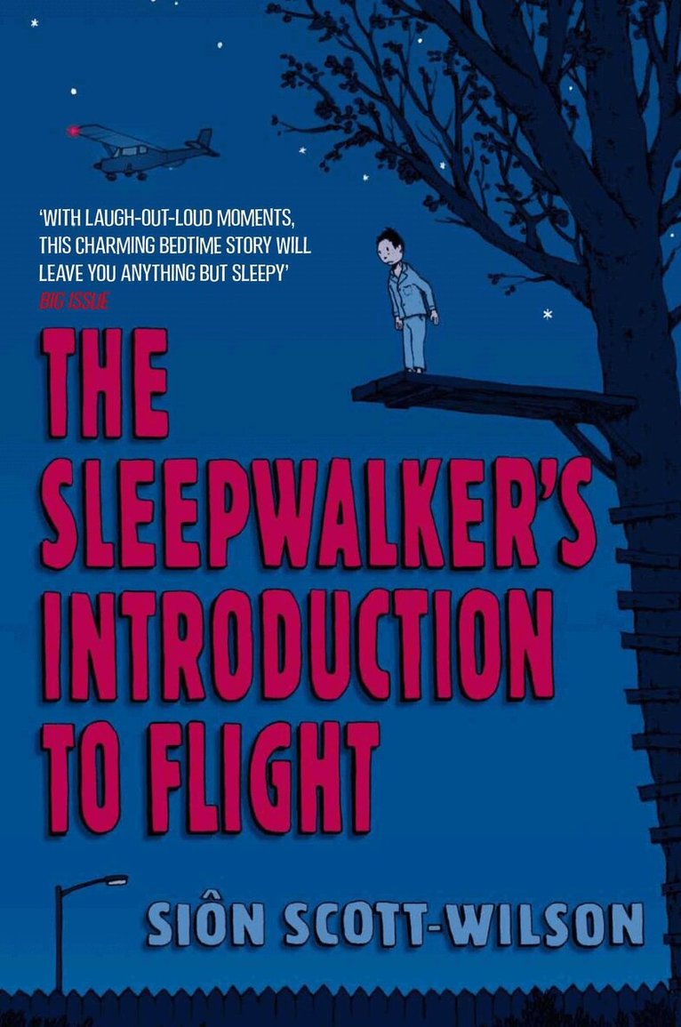 Sion Scott-Wilson - Sleepwalker's Introduction to Flight, E-bok