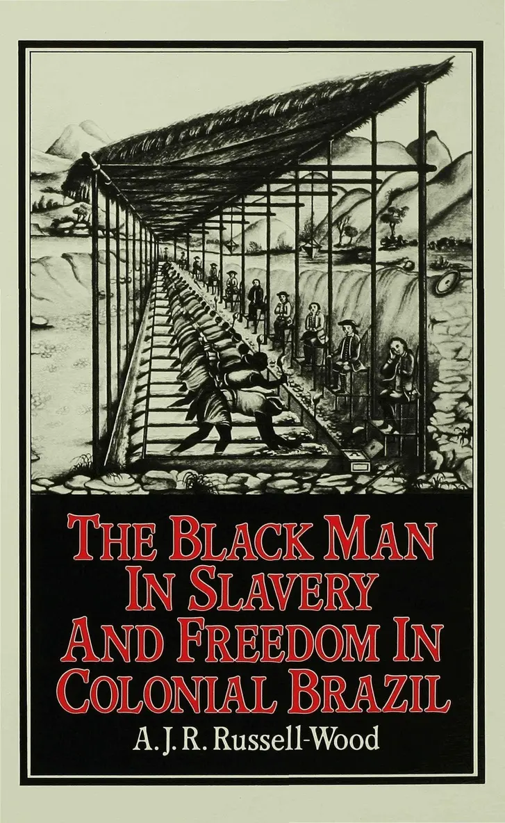 Black Man in Slavery and Freedom in Colonial Brazil