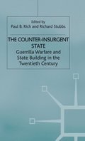 The Counter-Insurgent State