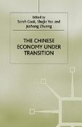 The Chinese Economy under Transition