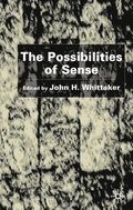The Possibilities of Sense