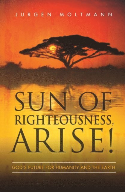 Juergen Moltmann - Sun of Righteousness, Arise!, E-bok