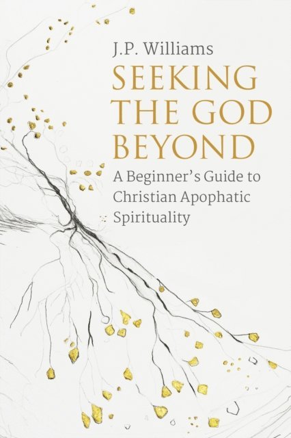 Janet Williams - Seeking the God Beyond, E-bok