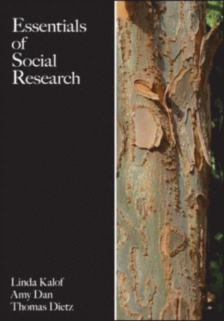 Amy Dan, Linda Kalof - Essentials of Social Research, E-bok