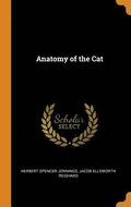 Anatomy of the Cat