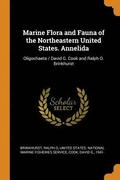 Marine Flora and Fauna of the Northeastern United States. Annelida