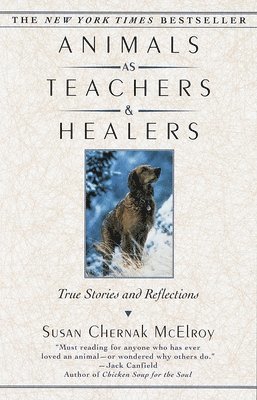 Susan Chernak McElroy - Animals as Teachers and Healers: True Stories and Reflections, Häftad