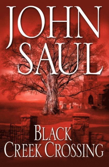 John Saul - Black Creek Crossing, E-bok