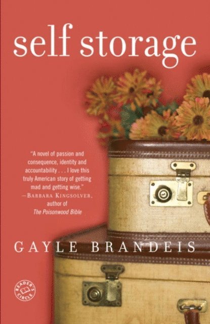 Gayle Brandeis - Self Storage, E-bok