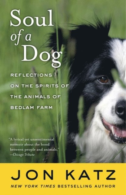 Jon Katz - Soul of a Dog, E-bok