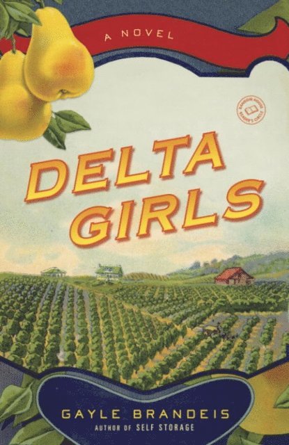 Gayle Brandeis - Delta Girls, E-bok