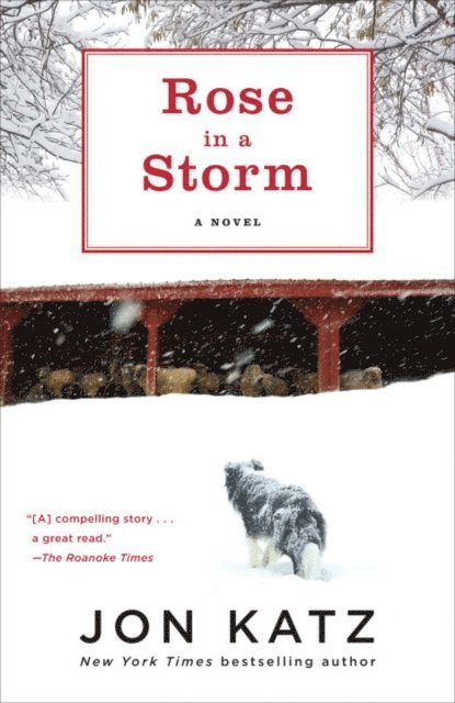 Jon Katz - Rose in a Storm, E-bok