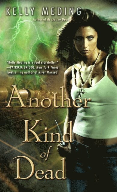 Kelly Meding - Another Kind of Dead, E-bok