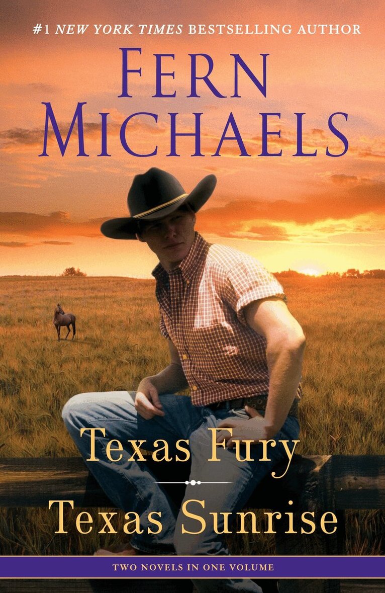 Fern Michaels - Texas Fury/Texas Sunrise, Häftad. Tillgänglighet: Lägg i varukorg