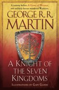 Knight of the Seven Kingdoms