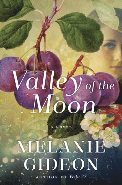 Melanie Gideon - Valley of the Moon, E-bok
