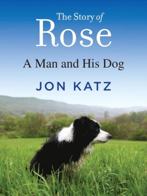 Jon Katz - Story of Rose, E-bok