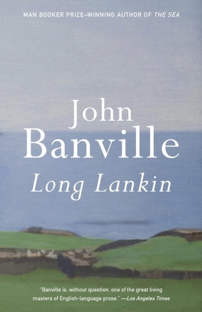 John Banville - Long Lankin, E-bok