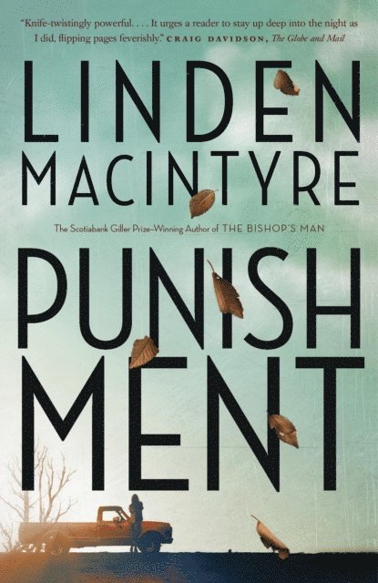 Linden MacIntyre - Punishment, E-bok