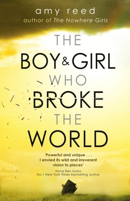 Amy Reed - Boy and Girl Who Broke The World, E-bok