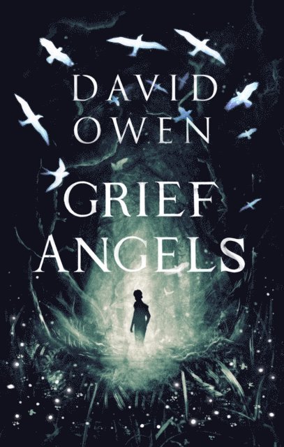 David Owen - Grief Angels, E-bok