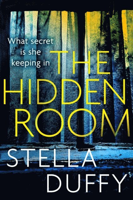Stella Duffy - Hidden Room, E-bok