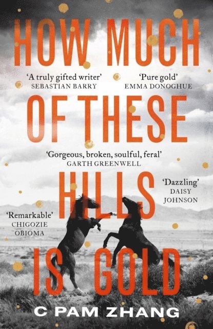 C Pam Zhang - How Much of These Hills is Gold, E-bok