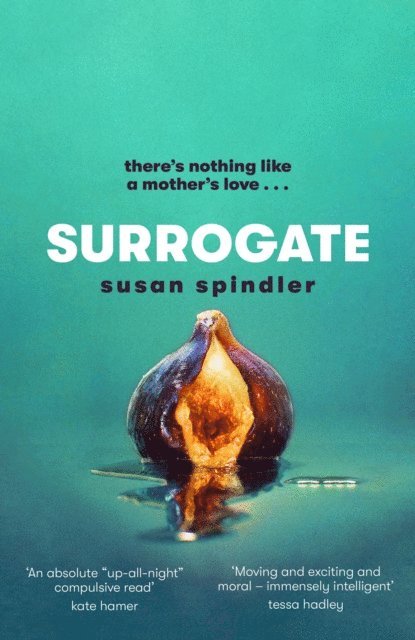 Susan Spindler - Another Mother, E-bok