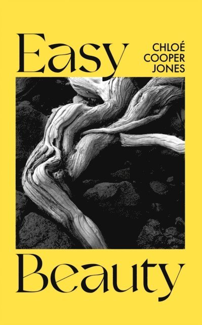 Chlo  Cooper Jones - Easy Beauty, E-bok