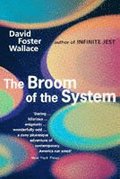 The Broom Of The System