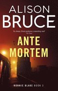Untitled 2025 Crime Novel
