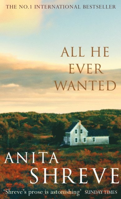 Anita Shreve - All He Ever Wanted, E-bok