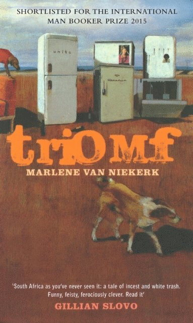 Marlene van Niekerk - Triomf, E-bok