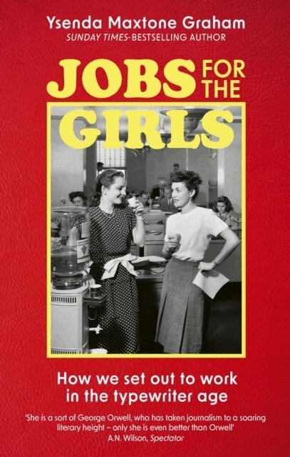 Ysenda Maxtone Graham - Jobs for the Girls, Häftad